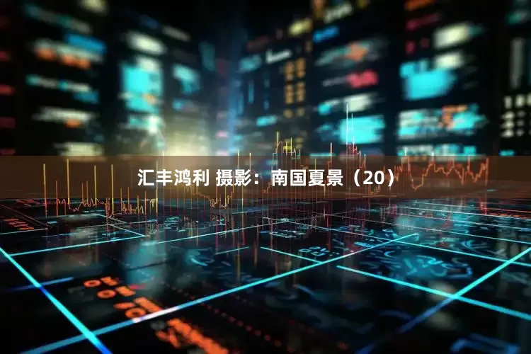 汇丰鸿利 摄影：南国夏景（20）