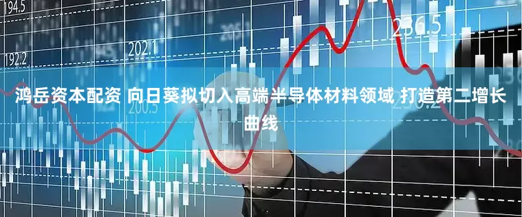 鸿岳资本配资 向日葵拟切入高端半导体材料领域 打造第二增长曲线
