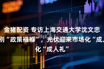 金猪配资 专访上海交通大学沈文忠：告别“政策襁褓”，光伏迎来市场化“成人礼”