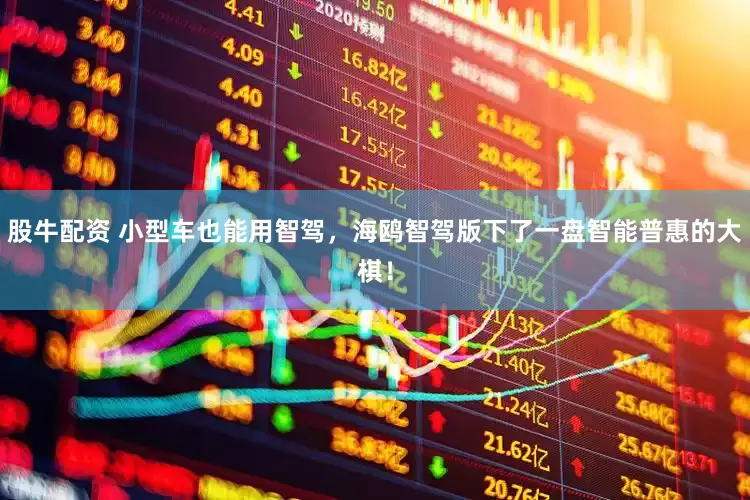 股牛配资 小型车也能用智驾，海鸥智驾版下了一盘智能普惠的大棋！